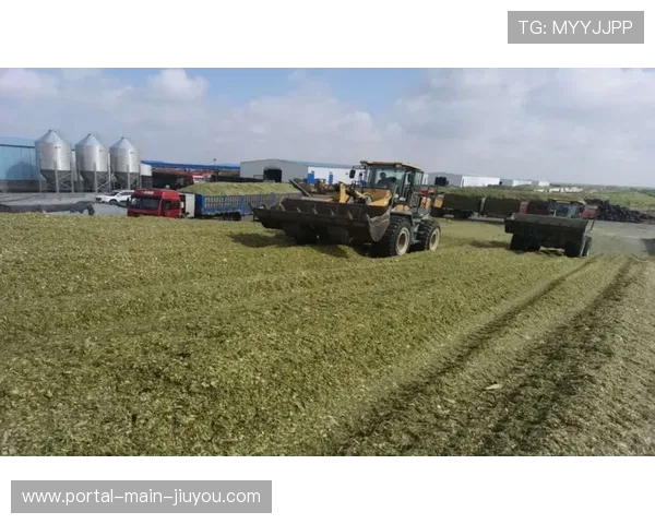 产业链上下游伙伴共建标准池 助力体育商业化结构在演进阶段消除了信息壁垒